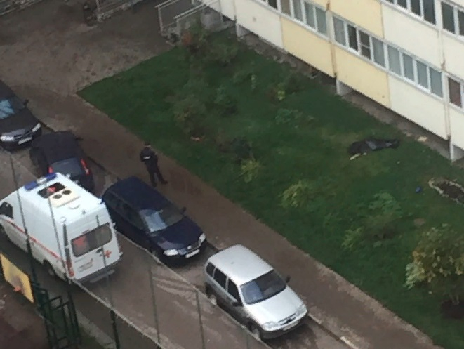 В Кирове на Заводской из окна высотки выпал человек