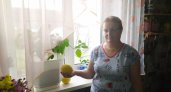 Жительница Кировской области вырастила полукилограммовый лимон