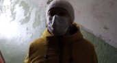 "Зловонный дом": кировчане вынуждены делить свой дом с насекомыми 
