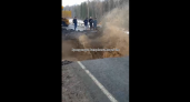 В соседнем регионе дорога обвалилась из-за размыва грунта: видео