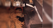 Пожар в Кирове на проезде Шаляпина: огонь охватил диван хозяина квартиры