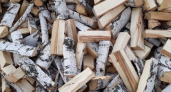 Житель Кировской области пошел под суд за взятку в виде дров