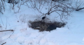 В Кировской области водолазы выловили из Вятки тело мужчины