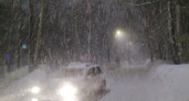 Жуткая непогода и мороз 7 февраля: циклон "Ольга" обрушит на Центральную Россию рекордные снегопады