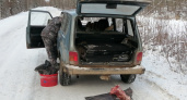 В Кировской области браконьера лишили машины и 500 тысяч рублей за убитого лося
