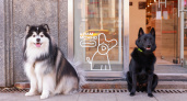 МТС в Кировской области открыла свои магазины для домашних животных