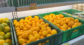 В Киров завезли 5,9 тонны зараженных мандаринов из Египта, Пакистана и Марокко