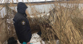Житель Кировской области застрелил друга на охоте в Республике Коми