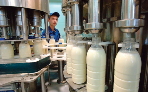 В Вятских Полянах планируют построить молокозавод за 120 миллионов