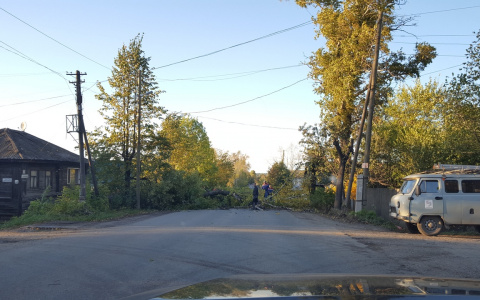 Сломанные деревья и крыши остановок: последствия сильного ветра в Кировской области