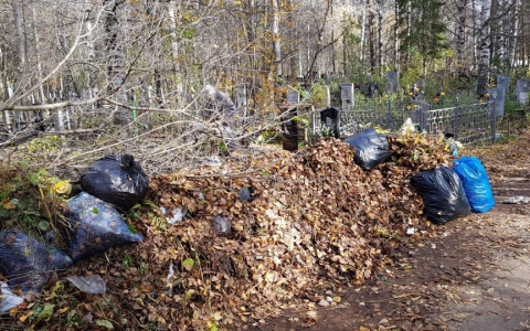 Кировчане пожаловались на ужасное состояние Макарьевского кладбища