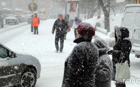 Комфортная зима и поздняя весна: предварительный обзор погоды на 2019 год в Кирове