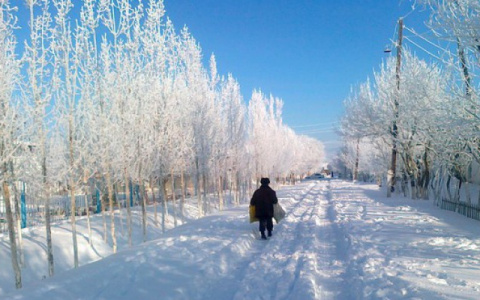 Снег и метель: синоптики рассказали о погоде на выходные в Кирове