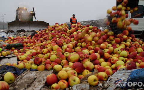 В Кирове уничтожили более тонны  фруктов, ягод и грибов