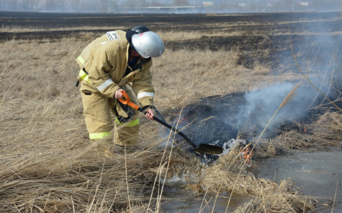 В Кировской области зафиксировали первый случай горения травы