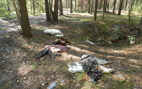 В Зубаревском лесу нашли тело младенца: следователи возбудили уголовное дело