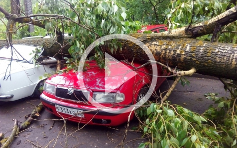 «Летающий» батут, сорванные крыши и падающие на людей деревья: по Кирову прошел ураган
