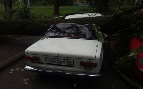 После урагана в Кирове вновь объявили метеопредупреждение
