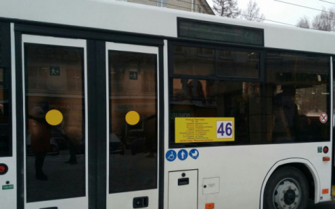 Кировчане создали петицию против отмены автобусов