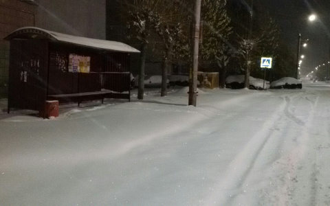 В Кирове выпало рекордное за 5 лет количество снега в октябре