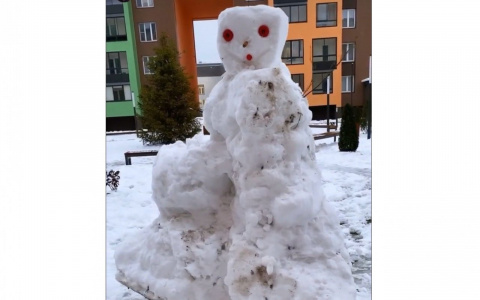 Фоторепортаж из соцсетей: 7 нелепых и прекрасных снеговиков в Кировской области
