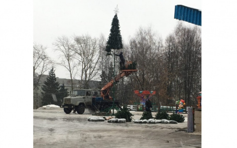 Фото дня: в Кирове впервые ставят 10-метровую елку у цирка