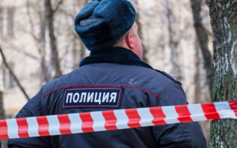 Брошенный на цепи пес и найденное тело женщины: что обсуждают в Кирове