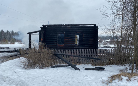 В Даровском в пожаре погибли два человека