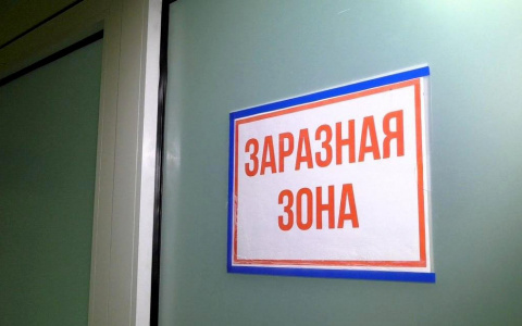 За день в Кировской области коронавирусом заболели 29 человек