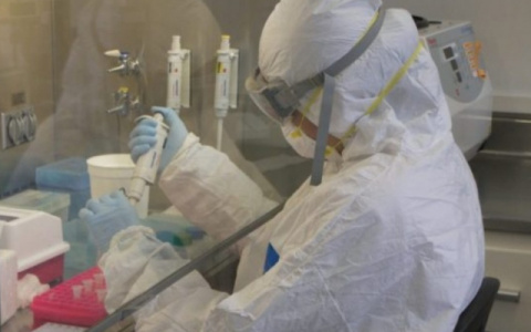 Специалист Минздрава назвала сроки завершения пандемии коронавируса