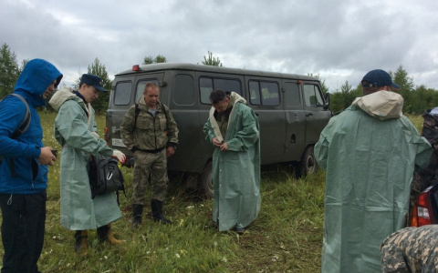 В Кировской области в одном лесу пропали сразу пять человек