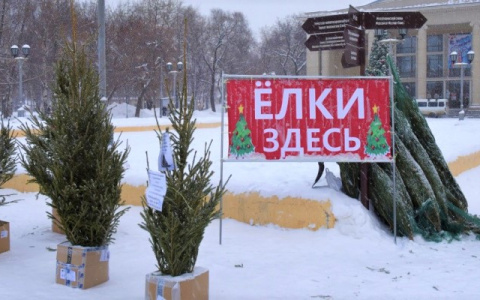 Администрация Кирова назвала адреса елочных базаров, которые заработают в этом году
