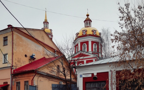 Бобер с плугом, рыжики и ящерица: смотрите на самые необычные гербы в Кировской области
