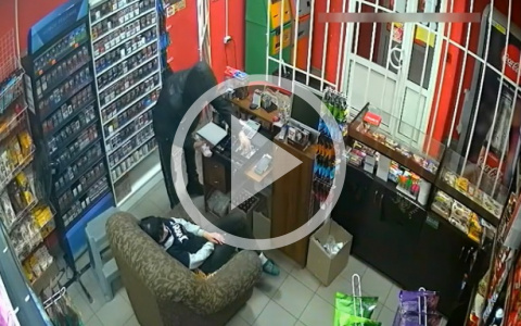 "Спящая красавица": в Кирове мужчина ограбил магазин, пока продавец спала