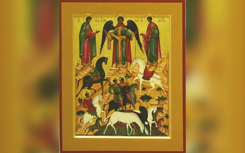 Для Спасского собора в Кирове выбрали икону покровителей животных