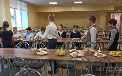 В Кировской области выявили более 200 нарушений в сфере школьного питания