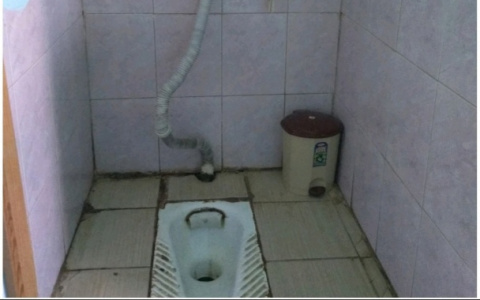 Жители Фаленского района просят бренд Domestos починить школьный туалет